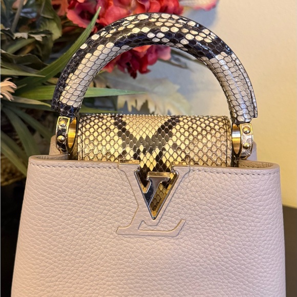 Louis Vuitton Capucines Mini Python - Picture 2 of 14
